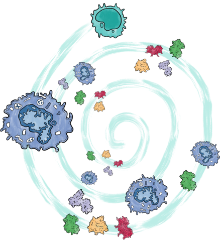 Illustration of inflammation-causing cytokine storm